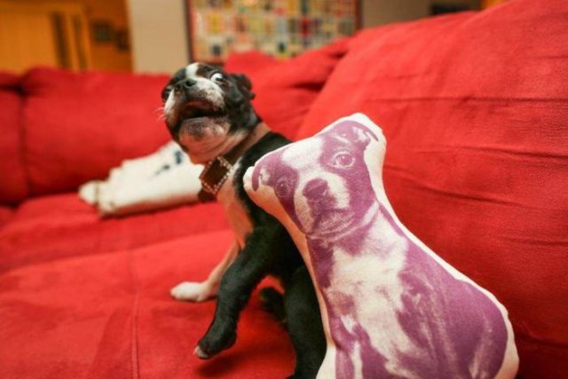 Собакочетверг же, ау!