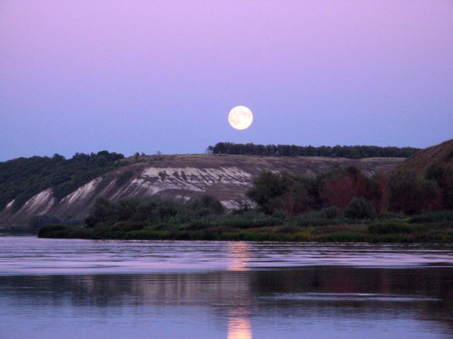 Я узнал, что у меня есть огромная семья