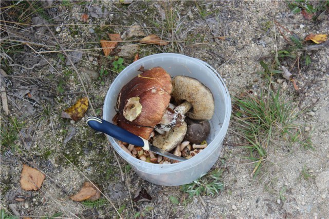 Я узнал, что у меня есть огромная семья