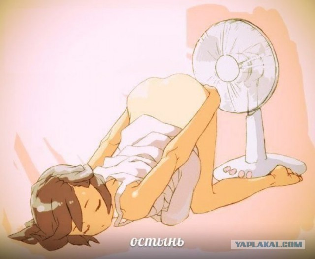 Половые торгаши