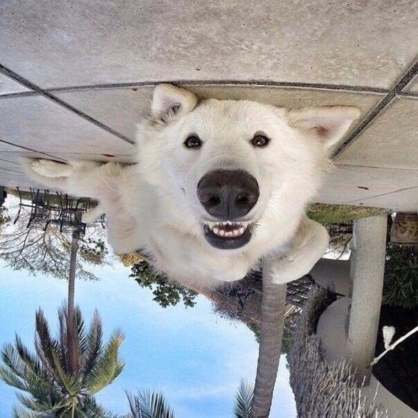 Подборка картинок