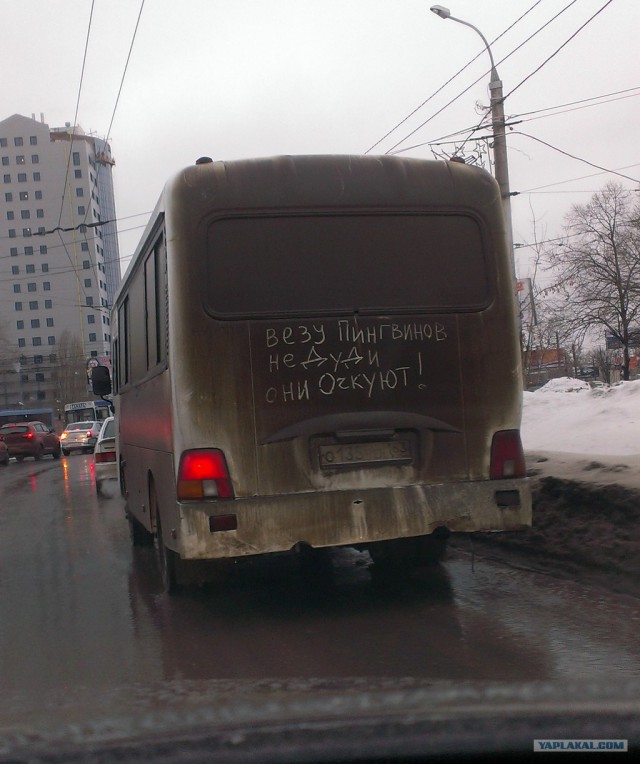 Зимняя катастрофа в Арктике: на 20 градусов теплее нормы, лёд тает