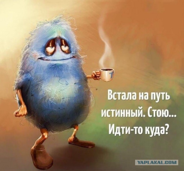 Смотри приколы и тупей