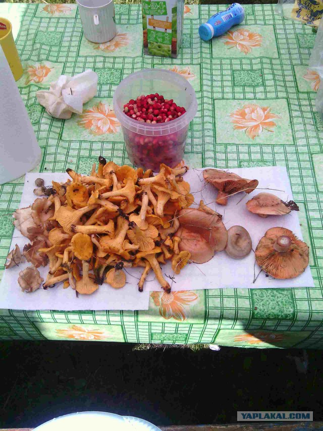 Вспомним лето 2