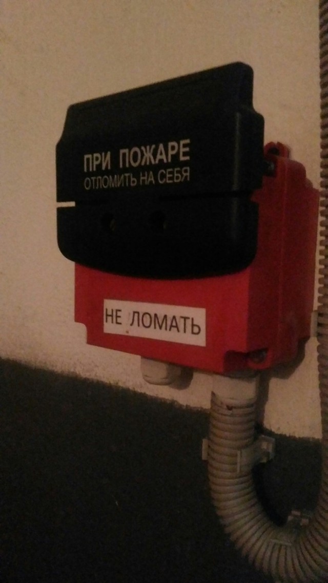 Просто картинки