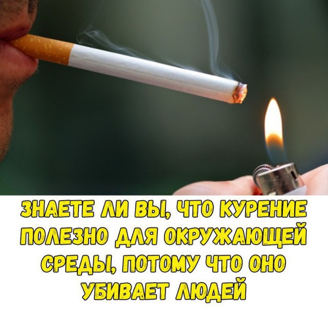 Смешные комментарии из социальных сетей 13.04.2018