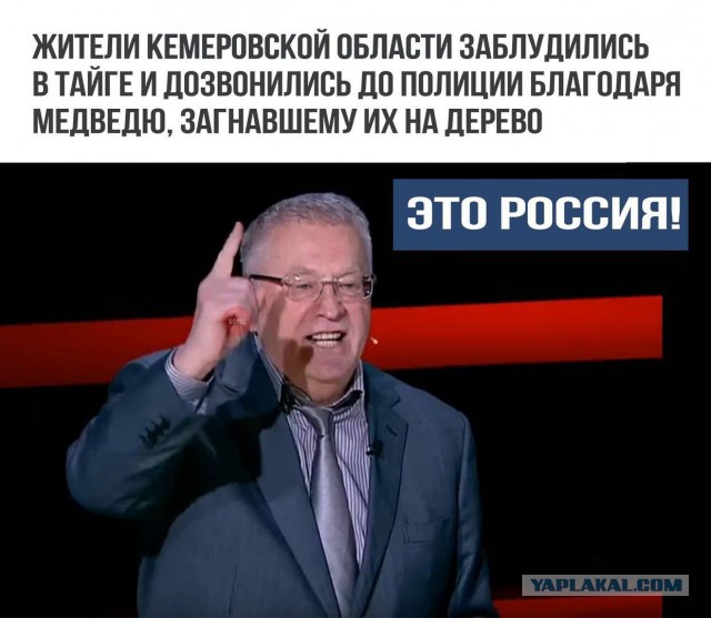 Смешные комментарии из социальных сетей 09.06.2018