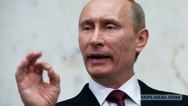 Почти две трети россиян одобрили деятельность Путина