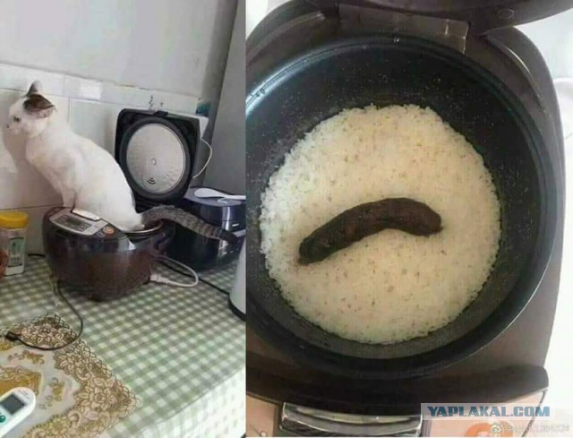 Плов в мультиварке