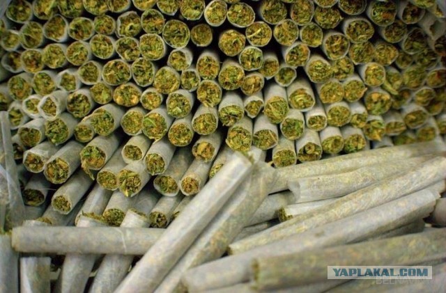 "Ангара" проблем