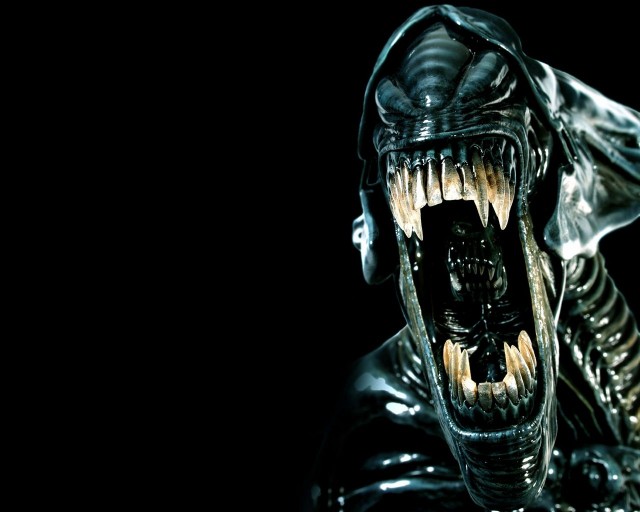 Фотожаба: Что с котэ?