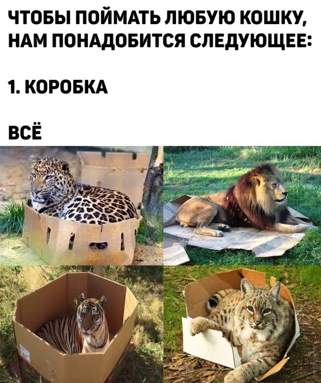 Картинки и мемы для настроения 17.05.2021