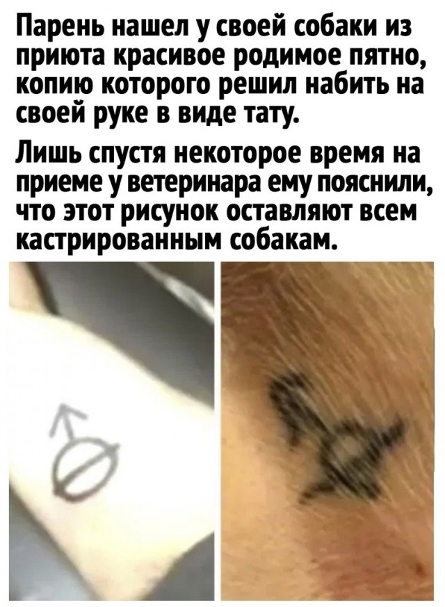 Так себе картинки 23.10.21