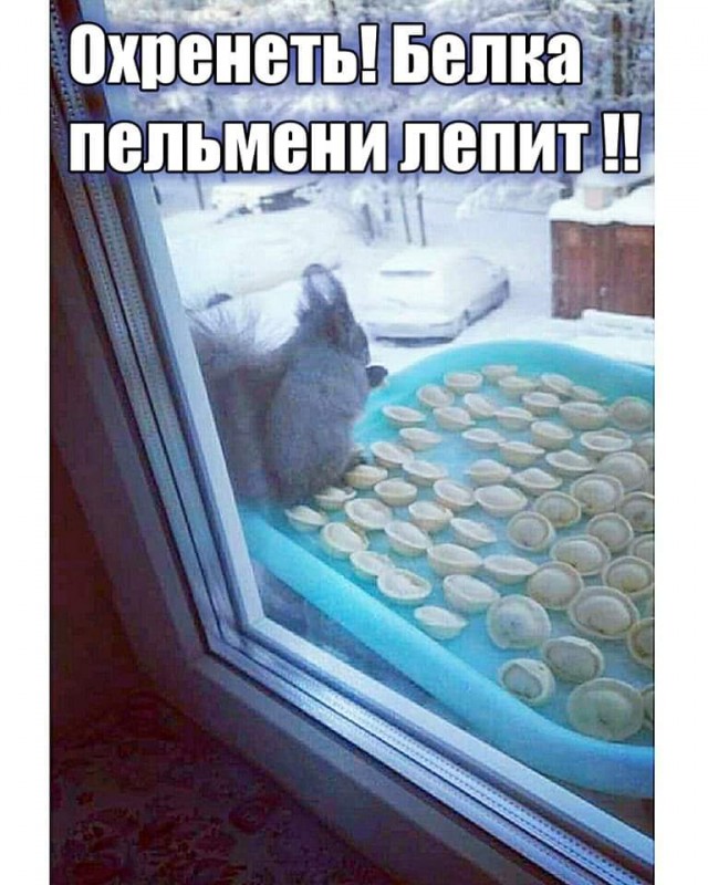 Всяческие картинки 27.12.2021