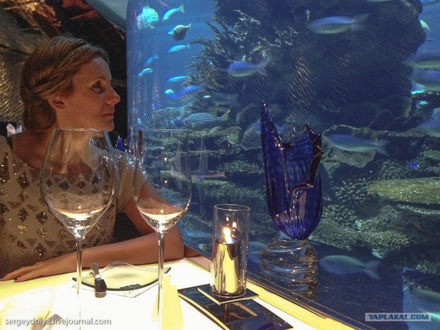 Д.Р. в Бурдж Аль Араб