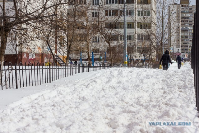 23 марта. Киев. Весна.