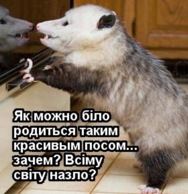 Иногда лучше быть обос**нным, чем съеденным