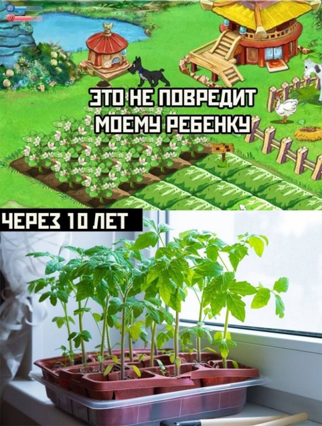 Картинки и мемы, всяко - 169