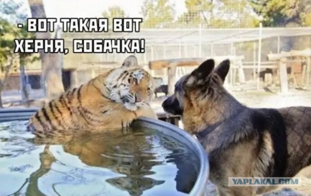 Хочешь узнать, как женщина занимается сексом? Посмотри на то, как она ест