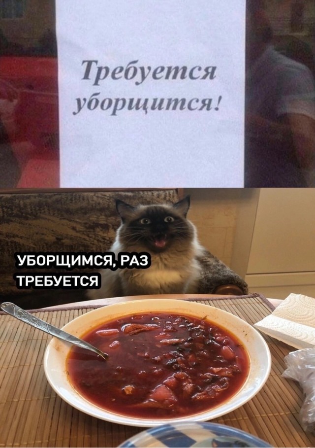 Душераздирающая история
