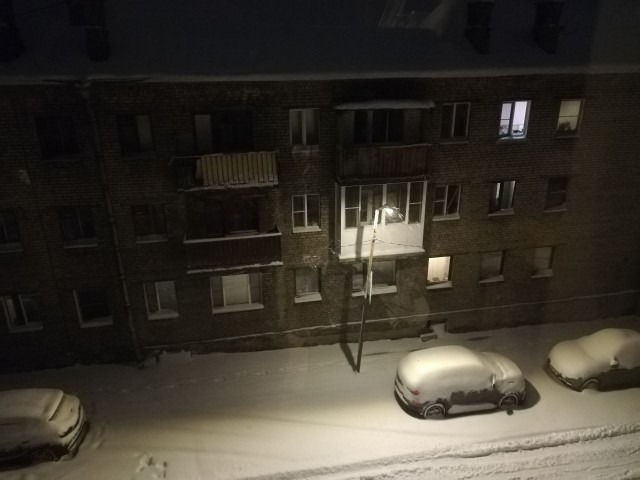 Жизнь домашнего приюта для котеек 492