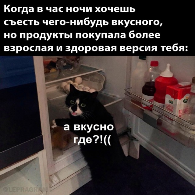 Весёлый полтишок 05.05.24