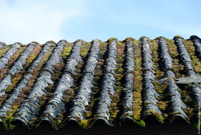 Нетуристическая деревня Шодон