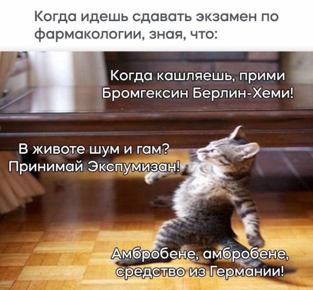 Веселые картинки к понедельнику (14.10)