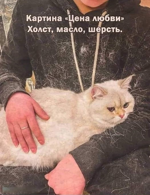 Веселые картинки в понедельник (11.11)