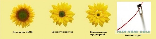 Учитель нашел приключений на свою жопу., или с ОМОНом шутки плохи))