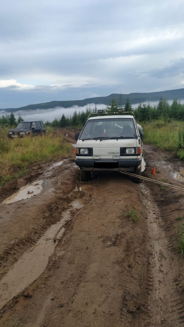 Фото моей природы