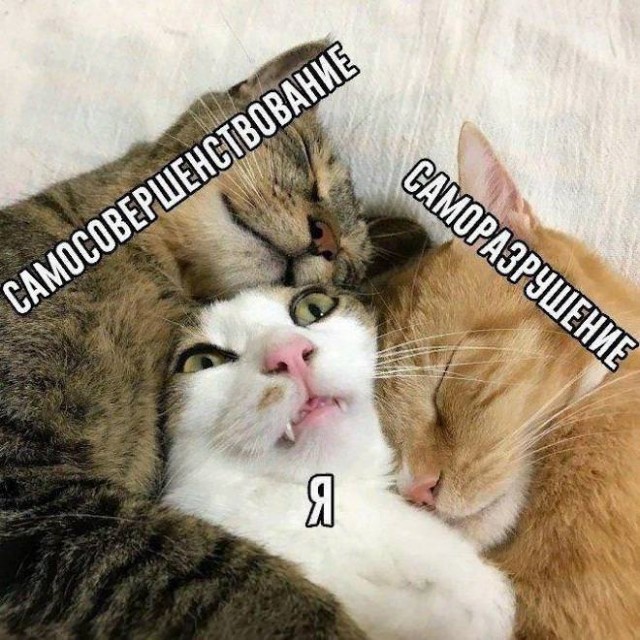 Веселые картинки в ненастоящую пятницу (31.10)