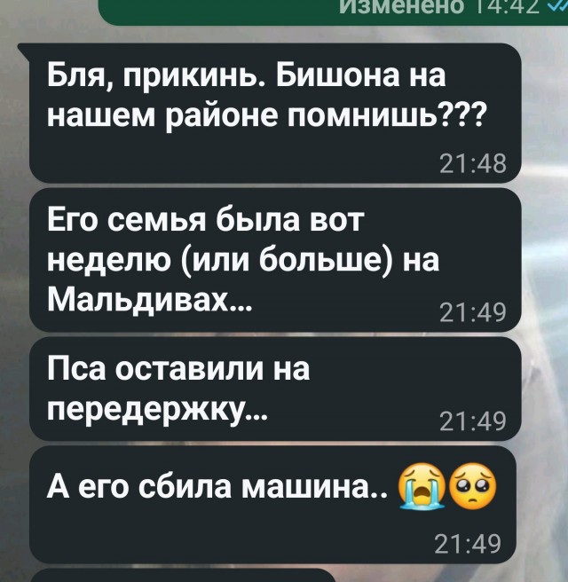 Жёны-домохозяйки экономят семье до 100 тысяч рублей в месяц
