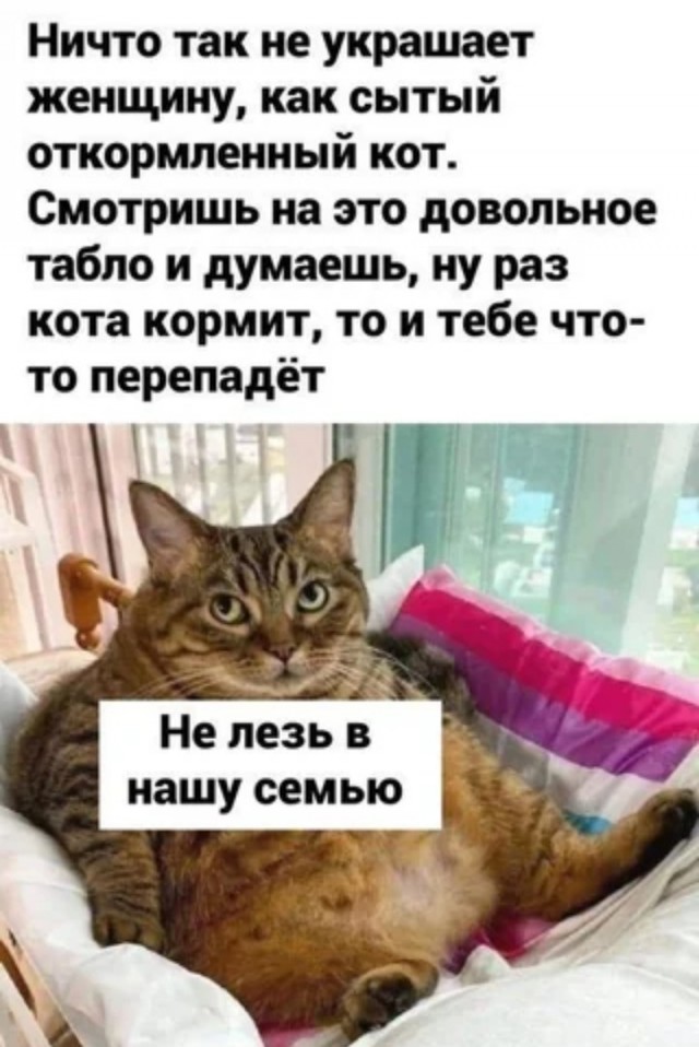 Убить мышь нетрадиционно