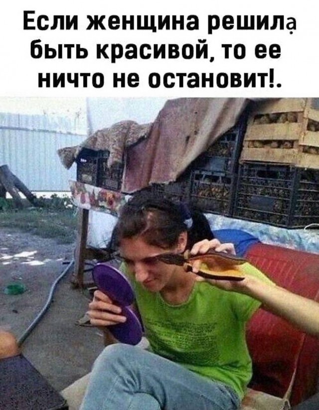 Картинки для деградации 137 (разной степени свежести)