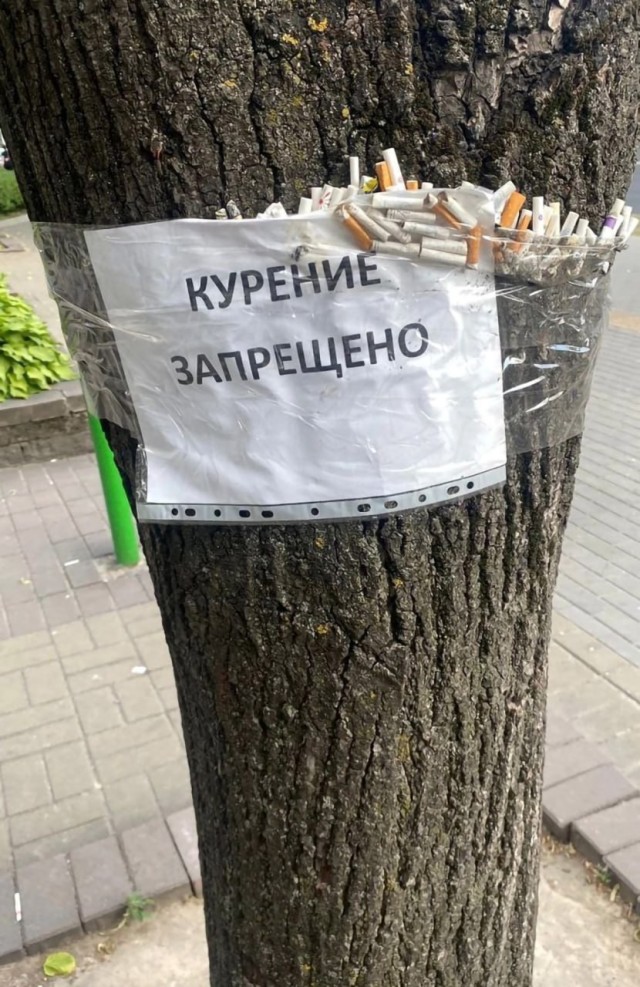 Немного картинок - продолжение 7