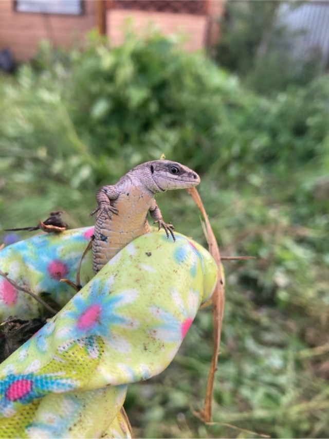 Просто немного фотографий
