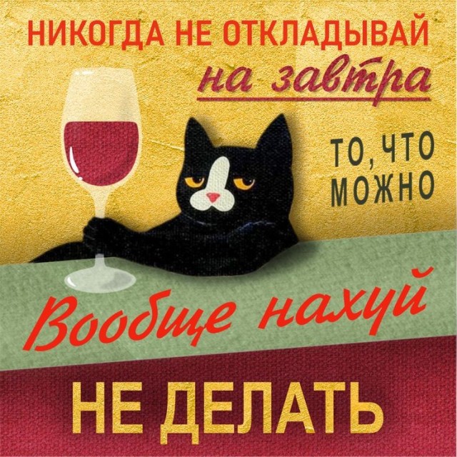 Прикольные и просто красивые картинки 15.05.2026