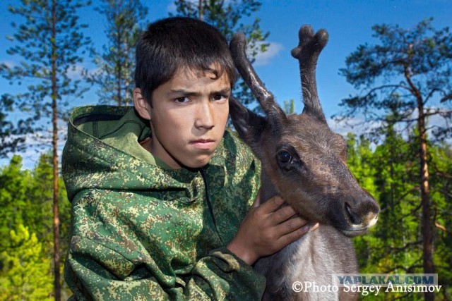 Красота! Лето на Ямале. Фото