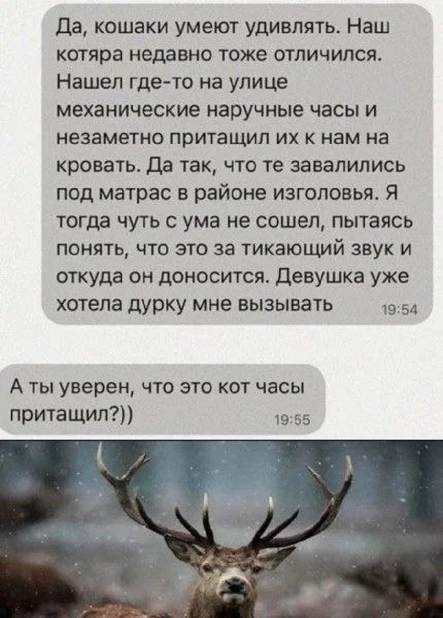 Так себе картинки 24.06.26