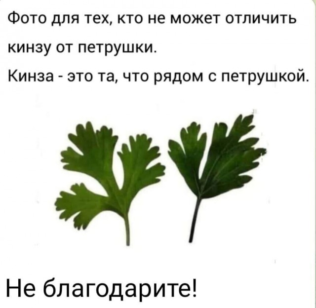 Ну наконец-то