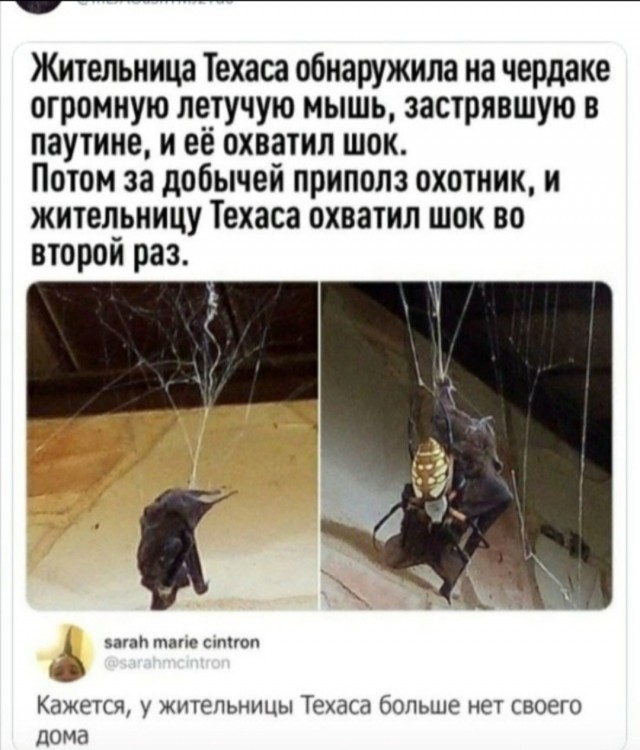 Так себе картинки 22.08.26