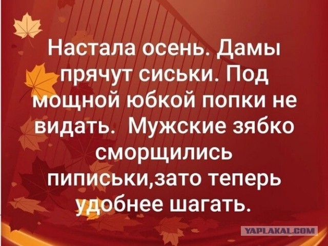 Россиян осенью накроет волна проблем с потенцией из-за холода и депрессии
