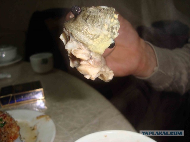 Удивительный Китай