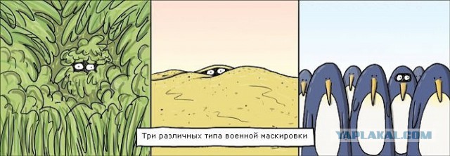 Веселые картинки