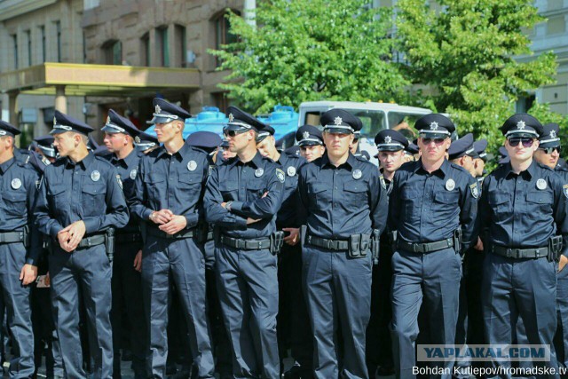 Новая полиция, первое дежурство:
