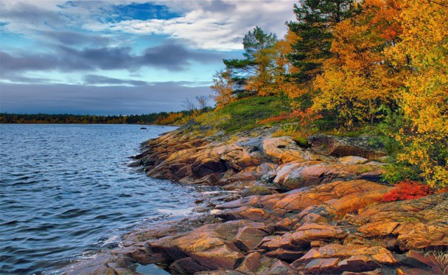 Подборка картинок 20.02.16