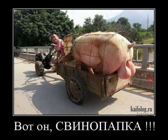 Борщ на свинных хвостиках