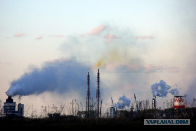 Сельскохозяйственный эксперимент ч. 7