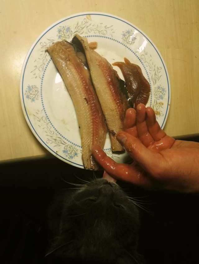 Форшмак из селедки (классический)